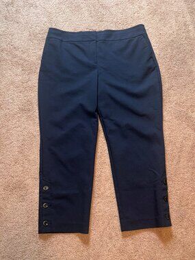 Ann Taylor Factory Navy Blue Button Leg Cropped Dress Pants 14